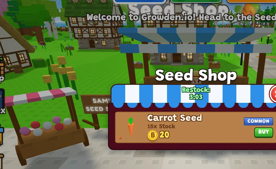 Carrot Seed en la Seed Shop
